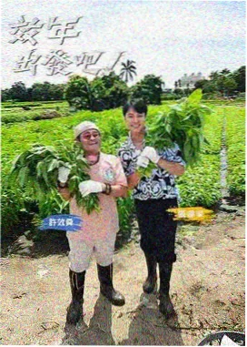声音博物馆综艺封面